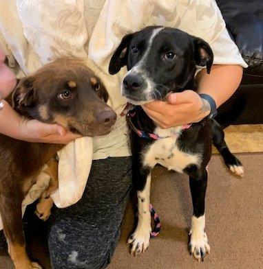 Braden and Rudy picture 1