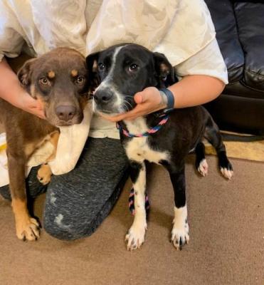 Braden and Rudy picture 2